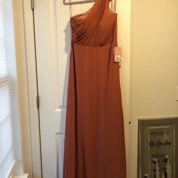 Birdy Grey Dresses & Skirts - Birdy Grey Kira Terracotta Bridesmaid Dress Lathe NWT